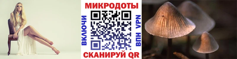 Псилоцибиновые грибы Psilocybine cubensis  Купить закладки  Кировград 
